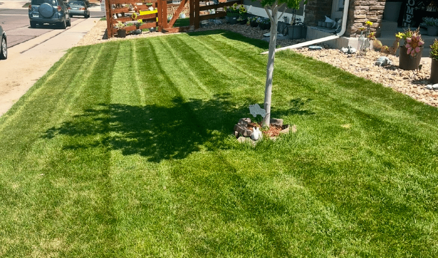 LAWN MOWING